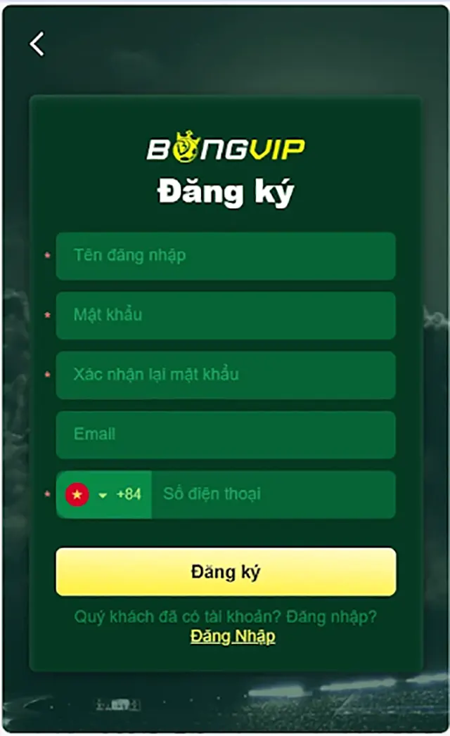 Form đăng ký BONGVIP theo thông tin