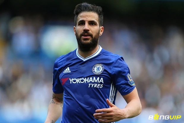 Cesc Fàbregas đã góp sức vào những thành tích quan trọng của clb Chelsea