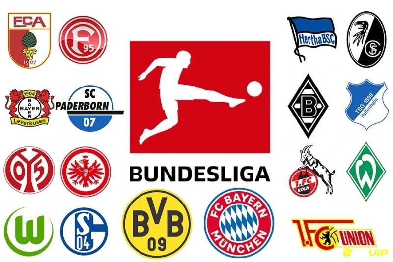 Cùng bongvip tìm hiểu về các câu lạc bộ Bundesliga nhé