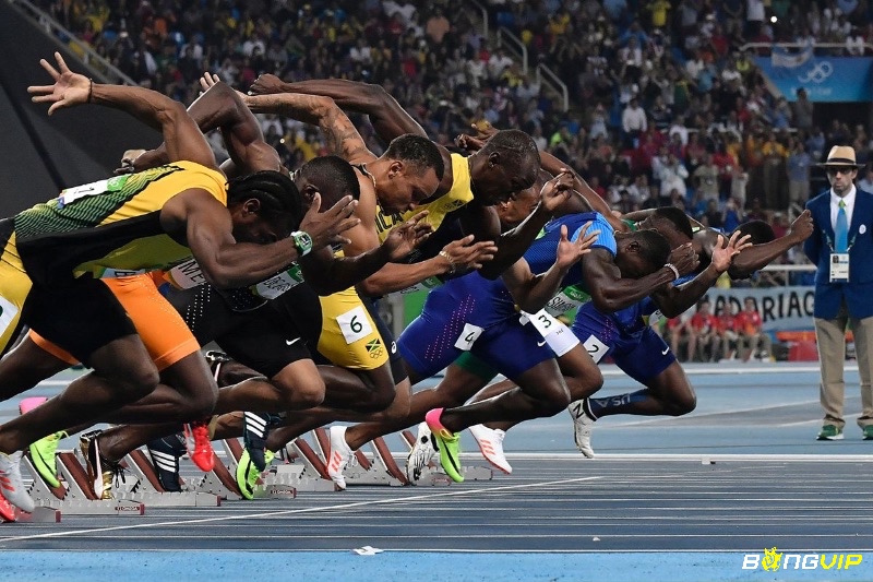 Cùng bongvip tìm hiểu về top vận động viên điền kinh Olympic nhé 