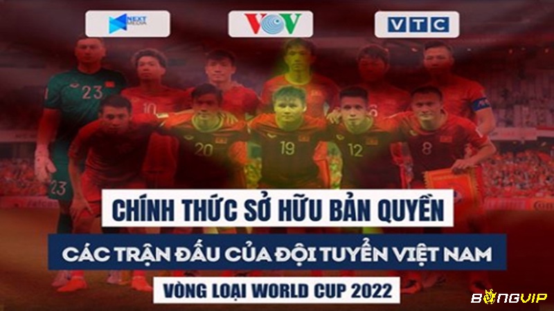 Các loại bản quyền thể thao gồm phát sóng, thương mại và cấp phép nội dung