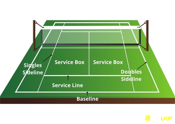 Sân tennis đủ tiêu chuẩn chuyên nghiệp có bề mặt phẳng và lưới được lắp đặt theo quy định