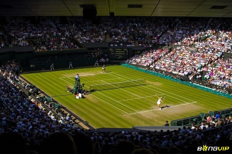 Giải tennis Wimbledon có lịch sử khá lâu đời và thu hút sự quan tâm của đông đảo người hâm mộ