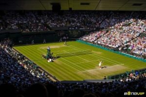Giải tennis Wimbledon và những đặc trưng nổi bật nhất của giải