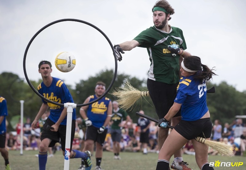 Mỗi đội Quidditch có 7 người với vai trò riêng, mang đến những trận đấu kịch tính
