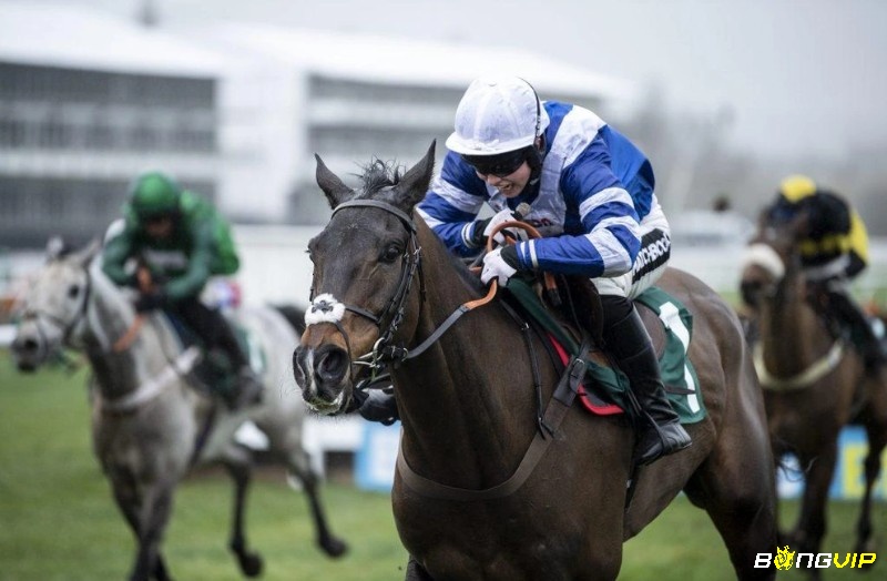 Katie Walsh ghi dấu ấn mạnh mẽ với thành tích ấn tượng tại Grand National
