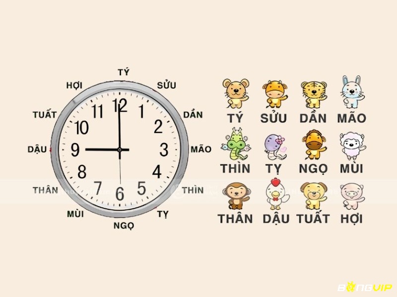 Bắt nguồn từ Trung Hoa cổ đại, bộ bóng số là di sản văn hóa xuyên thế kỷ