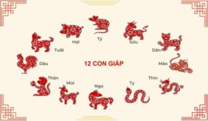 Bộ bóng số theo 12 con giáp: Ý nghĩa và cách chọn số may mắn