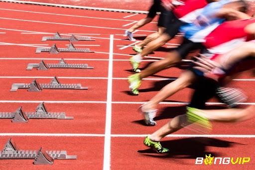 Một số luật cơ bản trong bộ môn điền kinh Olympic mà bạn cần biết