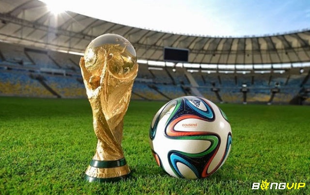 Cùng Bongvip tìm hiểu về giải đấu World Cup nhé