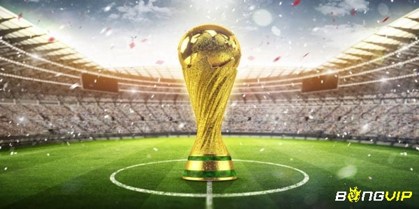 Cùng Bongvip tìm hiểu tổng quan về giải đấu World Cup nhé