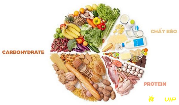 Chế độ dinh dưỡng hợp lý và phục hồi khoa học là yếu tố then chốt giúp cầu thủ nữ duy trì sức khỏe và hiệu suất thi đấu