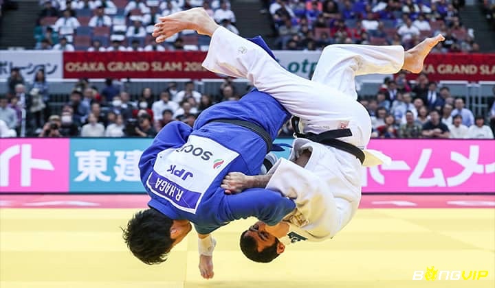 Nhu Đạo Nhật Bản sử dụng kỹ thuật mềm dẻo như khóa khớp, quật ngã và né tránh để kiểm soát và hóa giải đối thủ