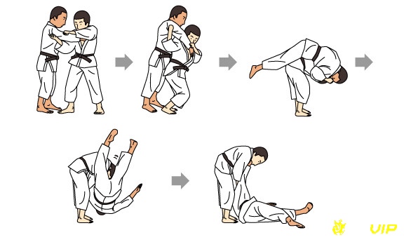 Nhu Đạo Nhật Bản giúp người tập phát triển đồng đều về kỹ năng, sức bền và ý chí