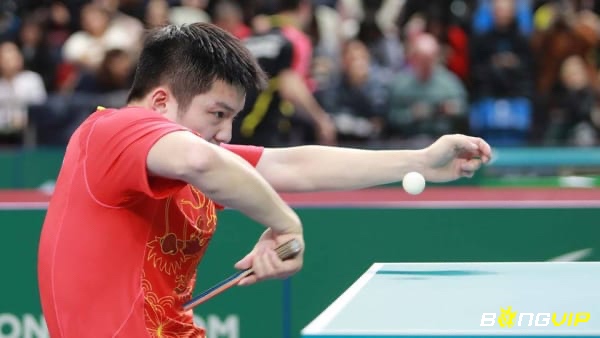 Hiểu rõ các lỗi thường gặp giúp bạn tránh mất điểm không đáng