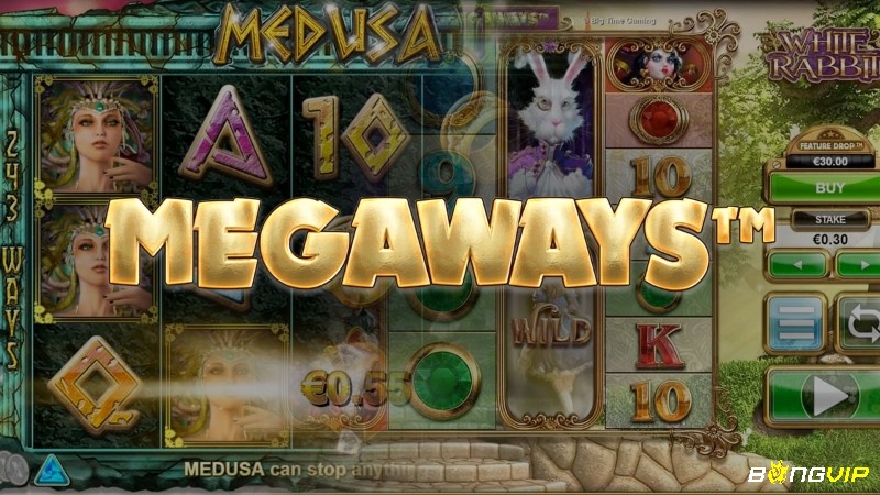  Xem RTP, độ biến động, đồ họa, chủ đề và thử chơi demo để đánh giá game Megaways.