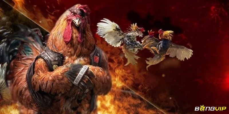 Người chơi cần nắm rõ tỷ lệ ăn (odds) và ý nghĩa kèm theo để phân tích kèo, đánh giá rủi ro và chọn cược có giá trị cao nhất