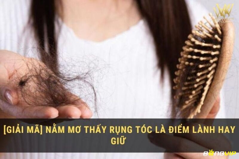 Mơ rụng tóc mang tới những thông điệp tương lai theo hình ảnh mơ
