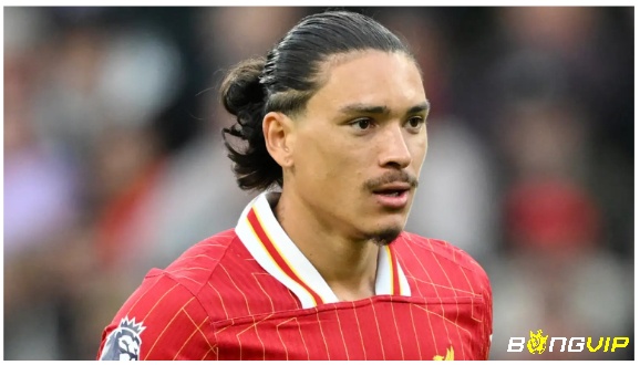 Cầu thủ giá 80 triệu Euro của danh sách cầu thủ Liverpool: Darwin