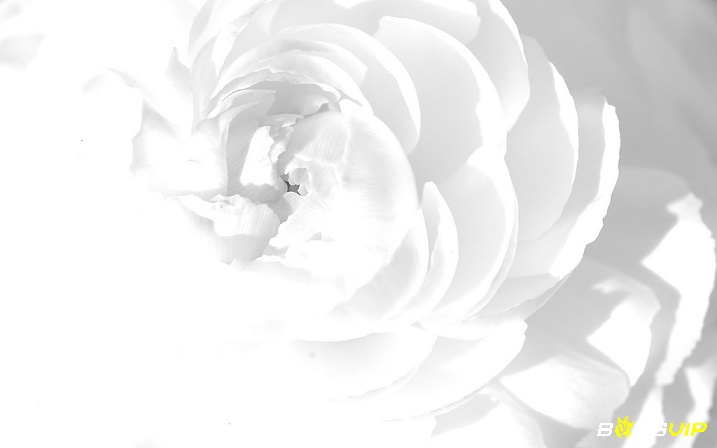 Giải mã giấc mơ thấy màu trắng số mấy và các điềm báo liên quan