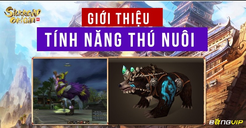 Trang bị và thú cưỡi trong SROM Huyền Thoại Lữ Khách