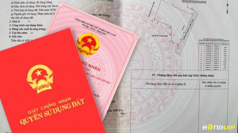 Giải mã giấc mơ thấy sổ đỏ số mấy và các điềm báo liên quan